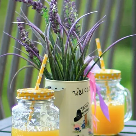 Appartamento Donata *